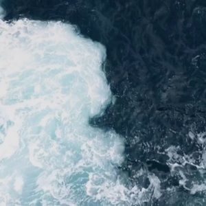 Meet your Posher, Bridget